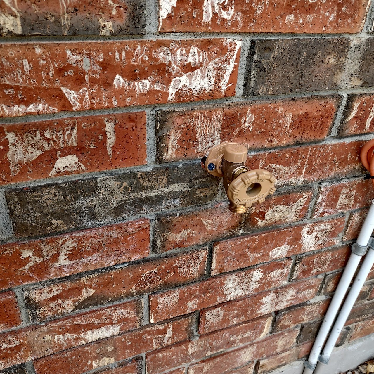 Recent plumbing project by Guardian